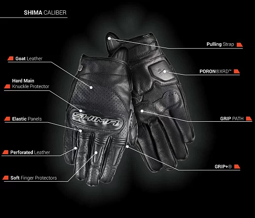 shima_4